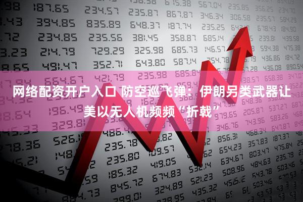 网络配资开户入口 防空巡飞弹：伊朗另类武器让美以无人机频频“折戟”